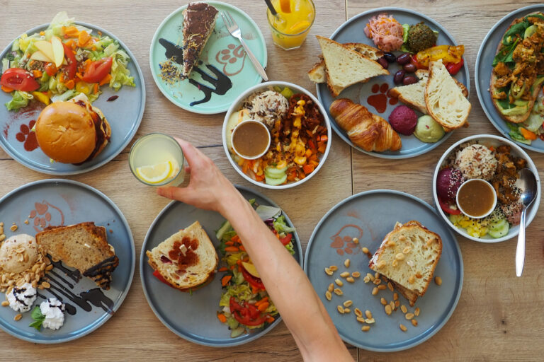 Restaurant Gutschein Katzentempel